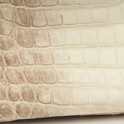Birkin 35 - Himalayan Crocodile Niloticus