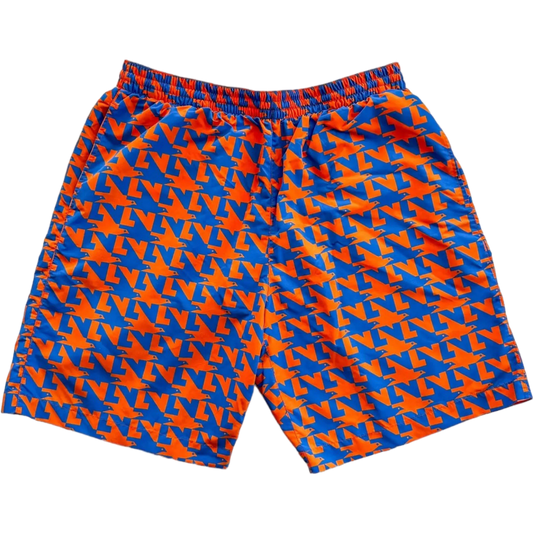 Louis Vuitton Blue & Orange Dove Print Swimshorts